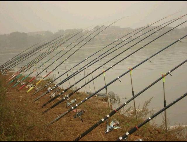 野钓鱼资源匮乏怎么办好,野钓资源匮乏是怎么造成的