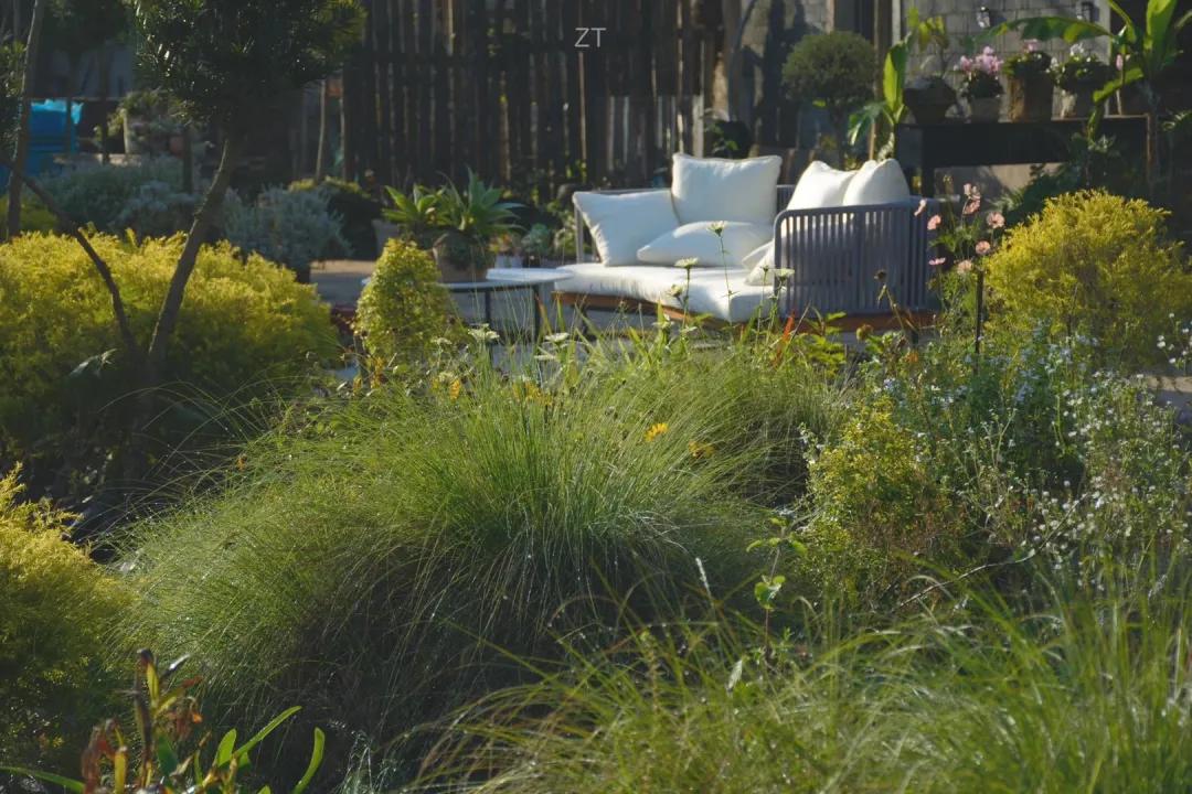 90后男孩住进郊区老屋，徒手打造400㎡自然花园，里面装满小精灵