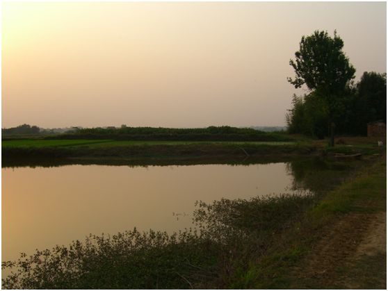 陈亮嘴属于什么档次,陈亮嘴