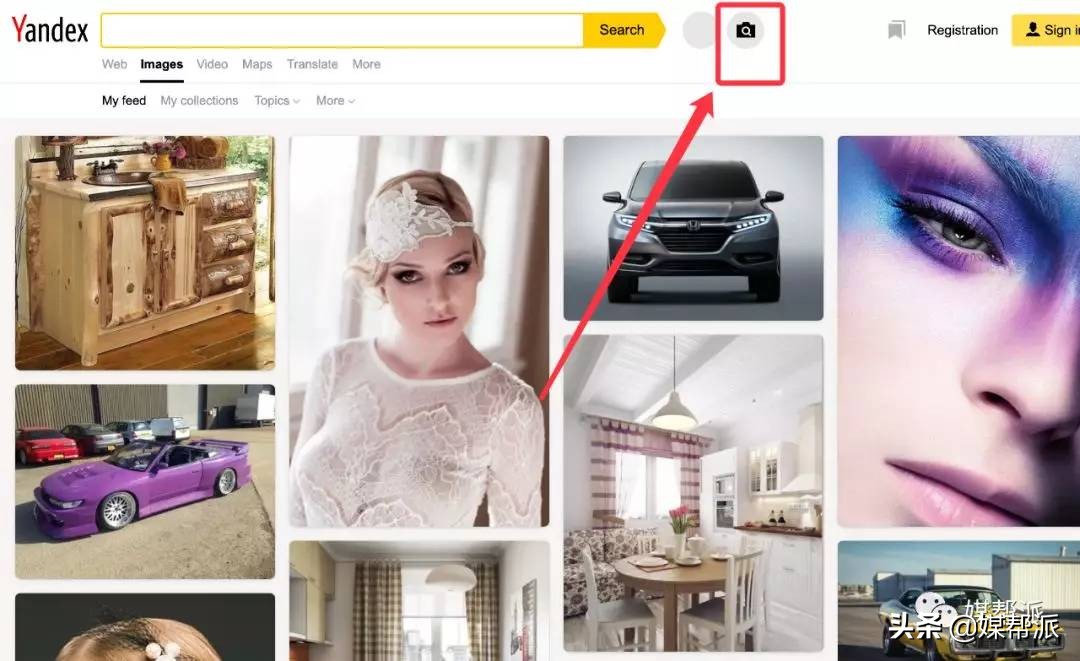 最全识图网站,全网站最全识图工具