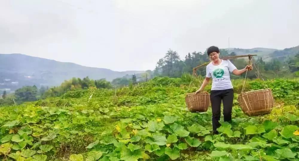 兴宁适合女性创业吗,回乡创业致富的女人