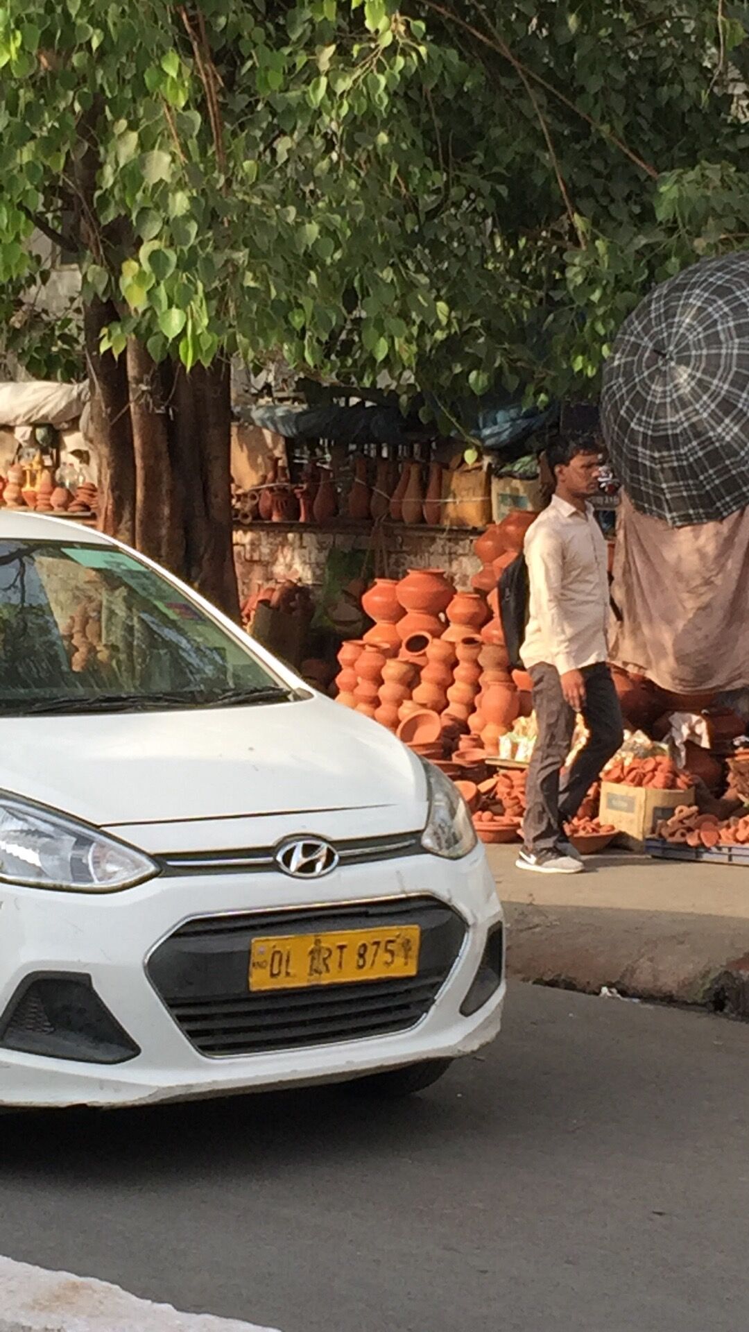 印度见闻大全,中国印度见闻录