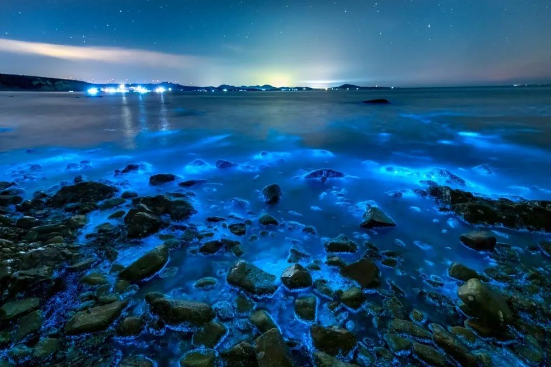 带大家一起看大连的海,来看看大连的海