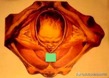 生完孩子后女人都有的苦恼,生完孩子的女人有哪些痛苦