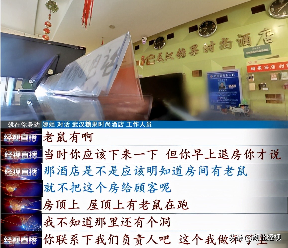 住酒店被耗子咬了一口,住民宿被老鼠咬了