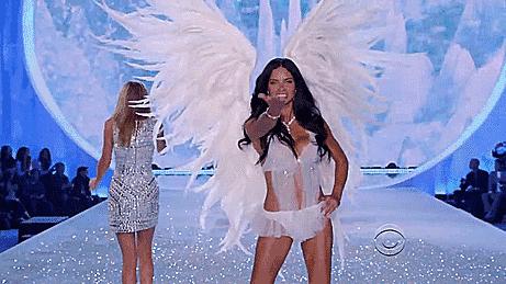 世界超模维密走秀图集,维密超模刘雯图集