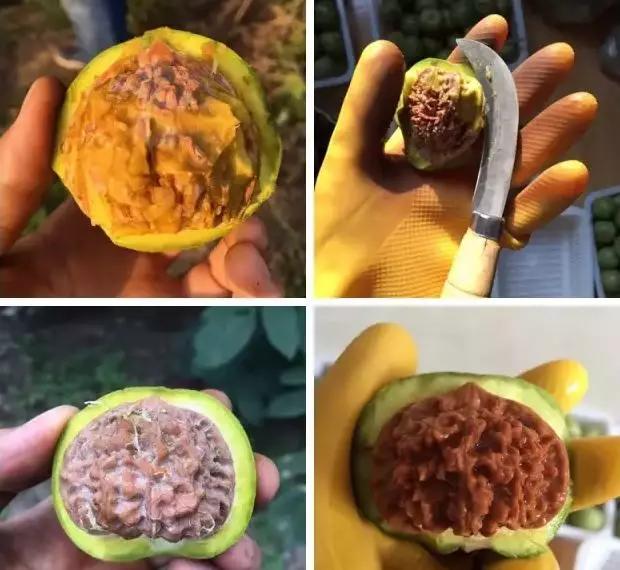 怎么分辨文玩核桃成熟度,如何辨别文玩核桃的好坏