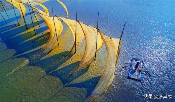 气是生命的源泉中医,气是人体生命的原动力