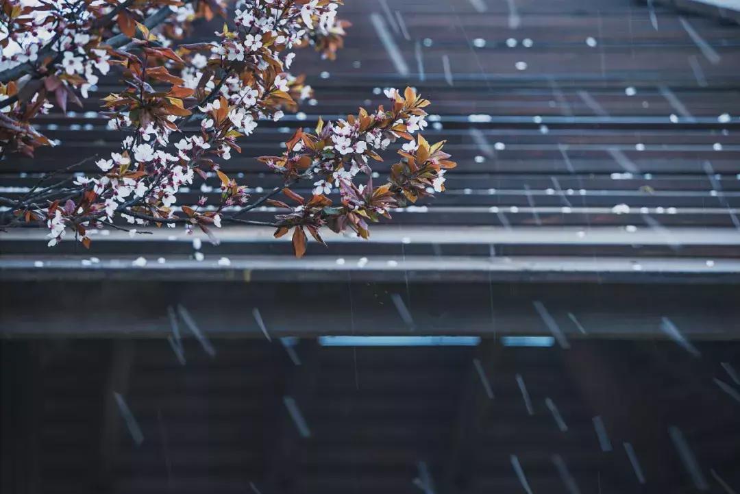 18年突然就火起来的歌有哪些,盘点几年前的歌现在又火了