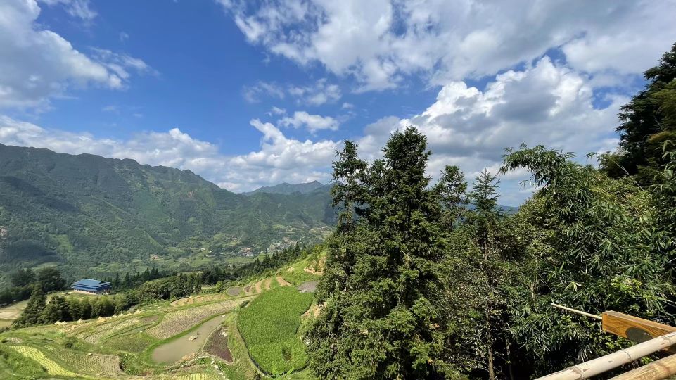 惠桂保是超过2万才可以报销吗,惠桂保和八桂惠民保