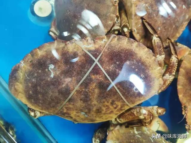 海鲜市场里你不知道的猫腻,三亚海鲜市场加工有猫腻吗