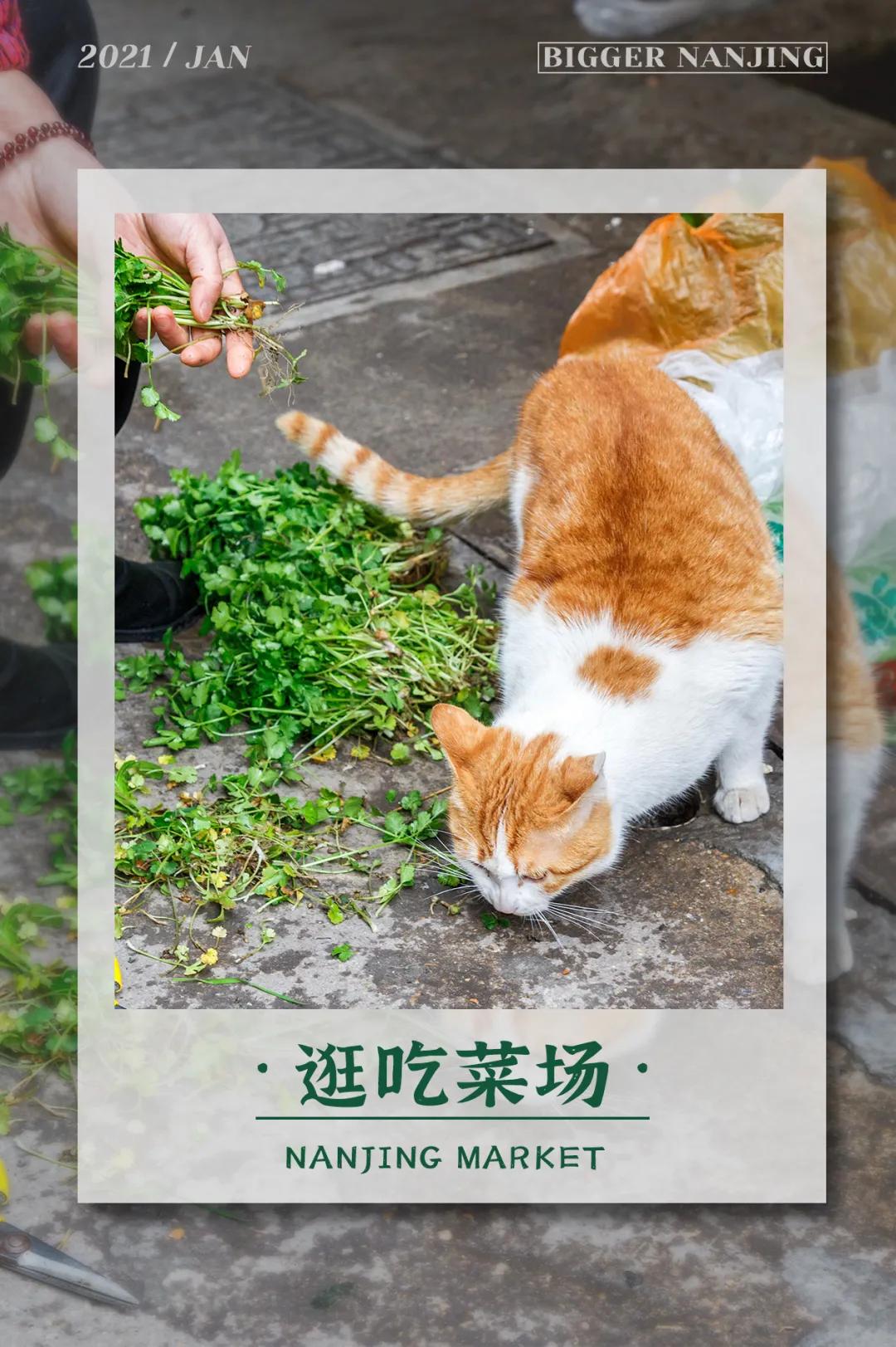 南京好吃的菜场推荐,南京有名的菜市场有哪些