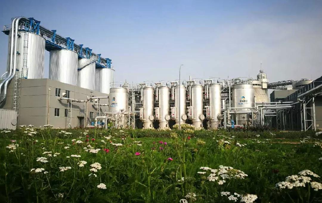 沼气生态能源建设,水厂沼气发电