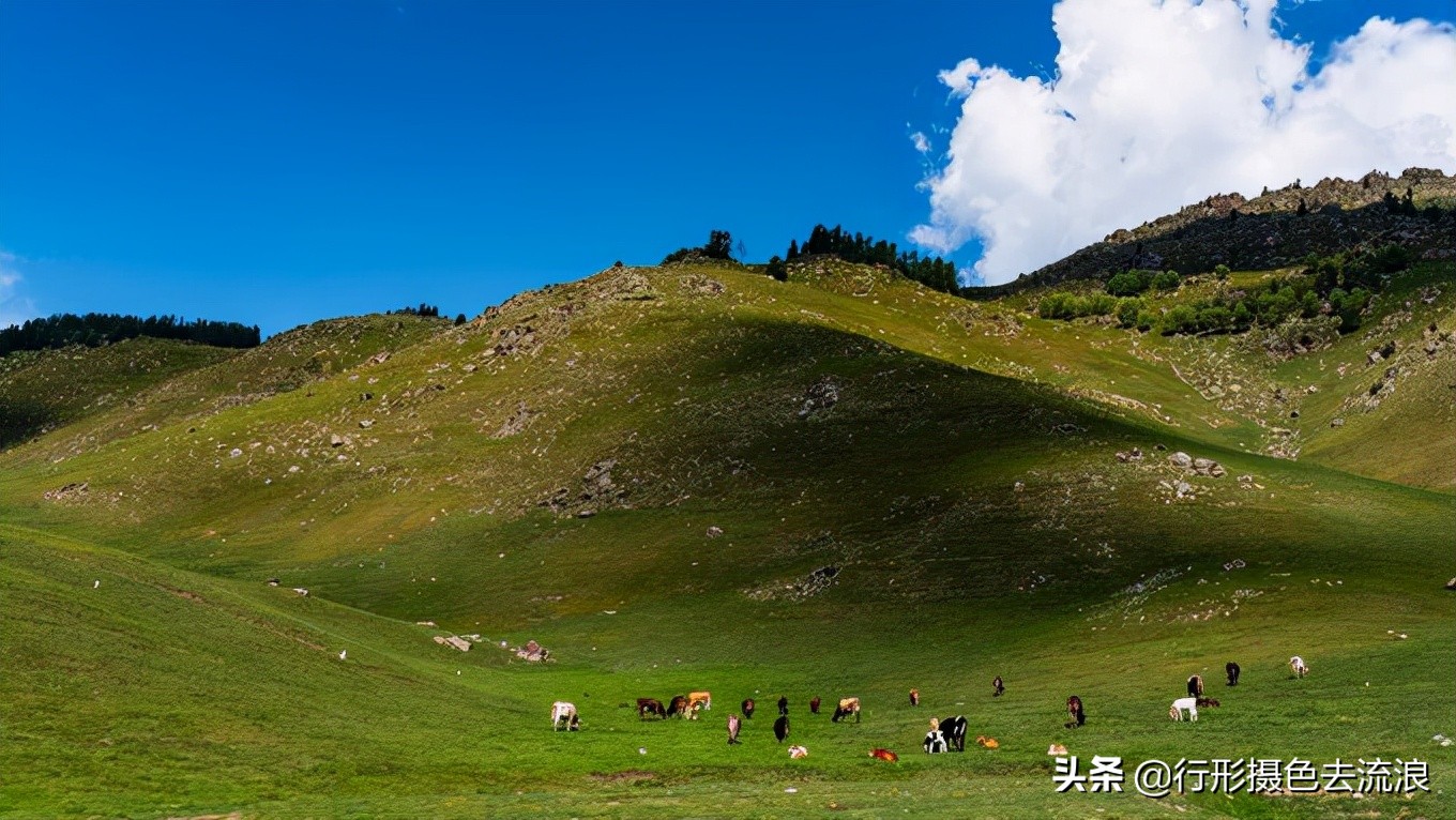 南北疆30天自驾深度游攻略,西行新疆