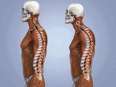 腰部放松操八个动作,6个动作缓解下背疼痛