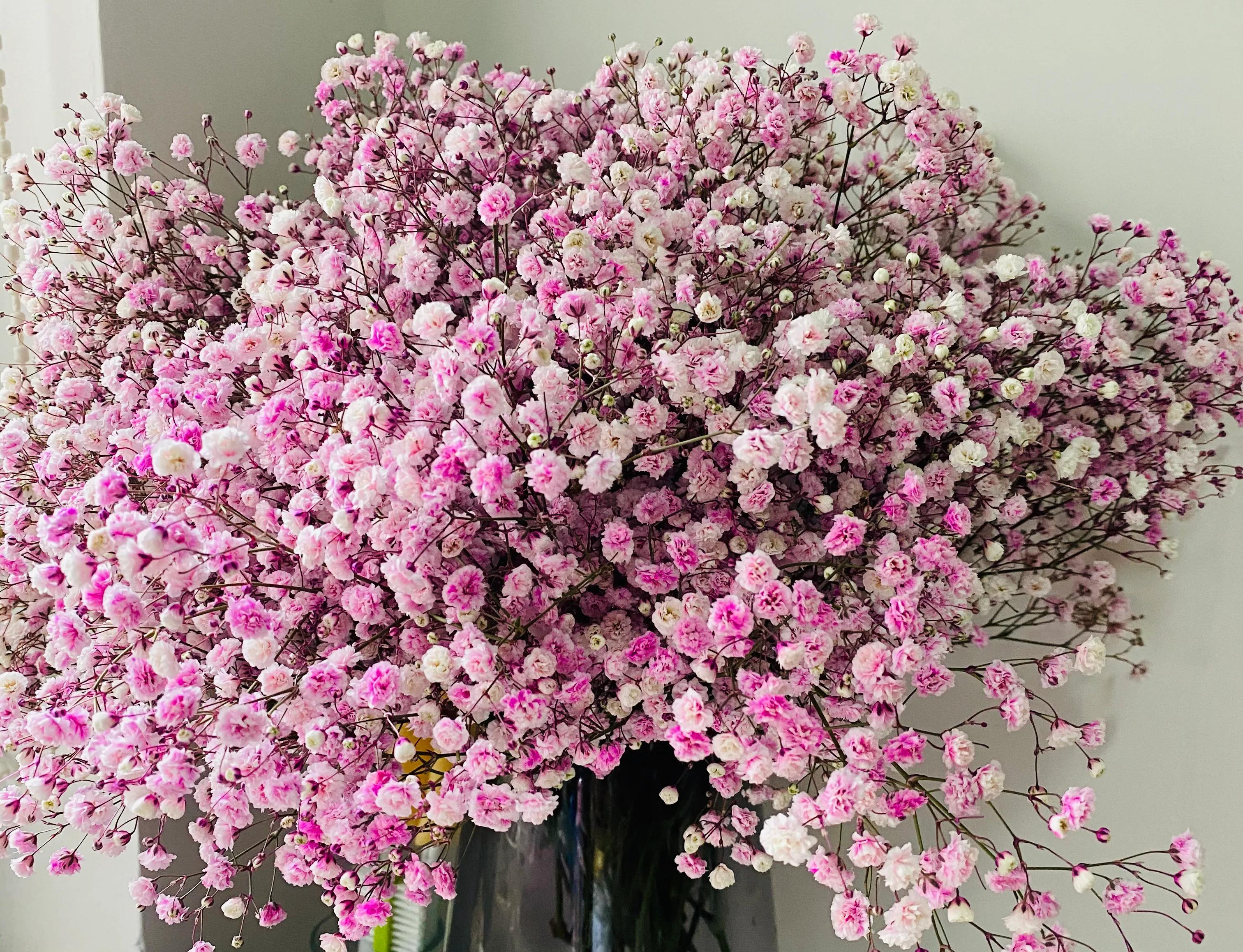 体温超过37.5度正常吗,体温37.3度算不算发烧