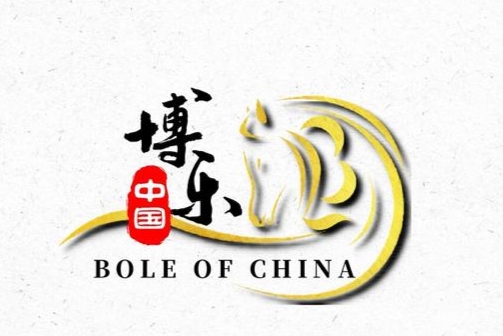 兵团品牌产品宣传口号,兵团名称和口号霸气