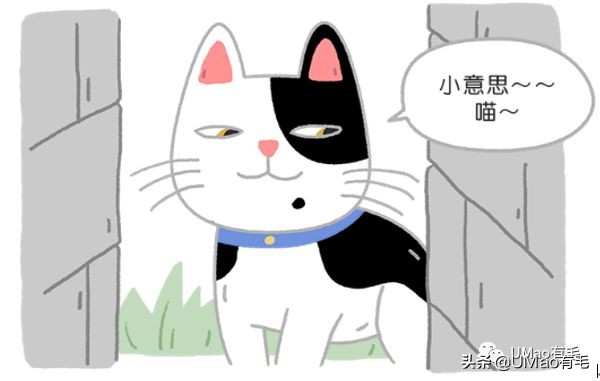 猫能被东西卡住动不了吗,猫好像被什么东西卡住一样