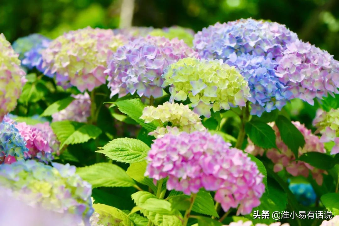 你想要的福利：快乐宝地，美丽倾心！这个便宜你占不占？