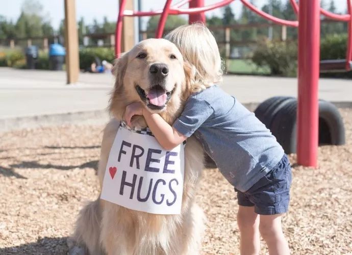 公认的无攻击性的6种狗你家有吗,什么狗忠诚攻击力高还可以养