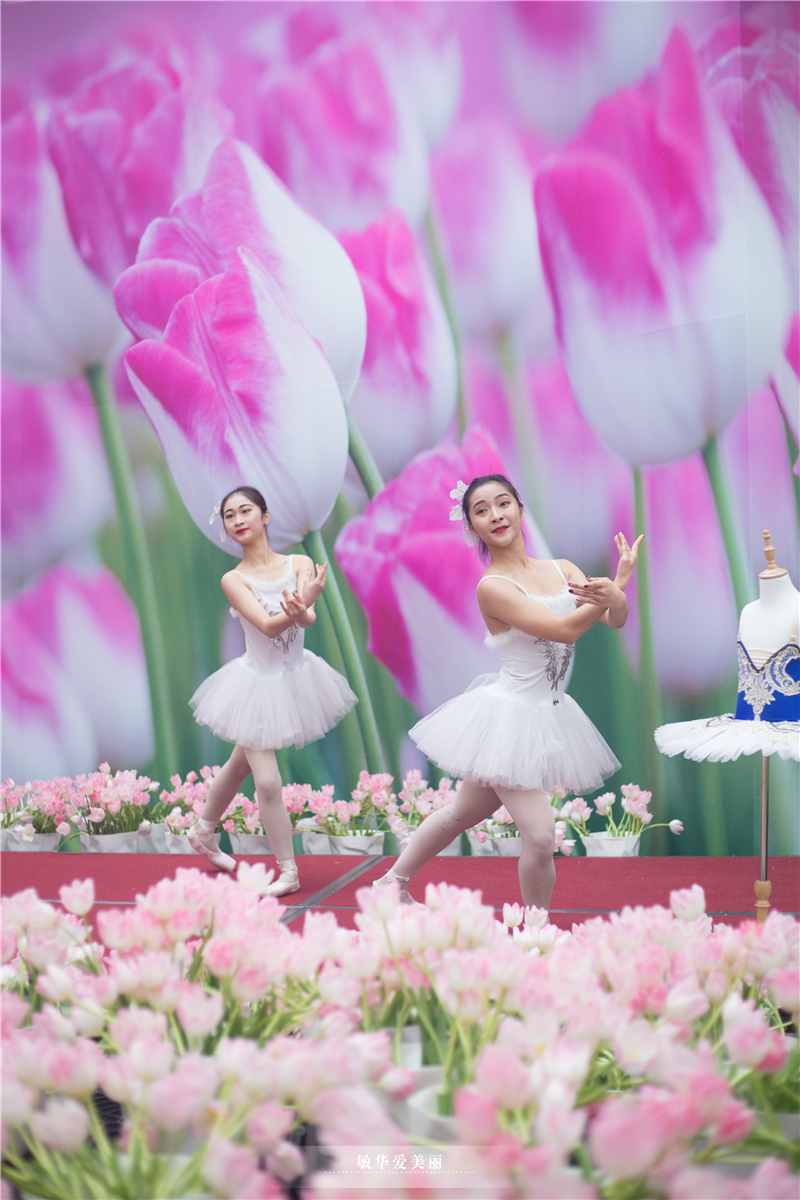 百万葵园攻略地图大全,百万葵园游玩注意事项