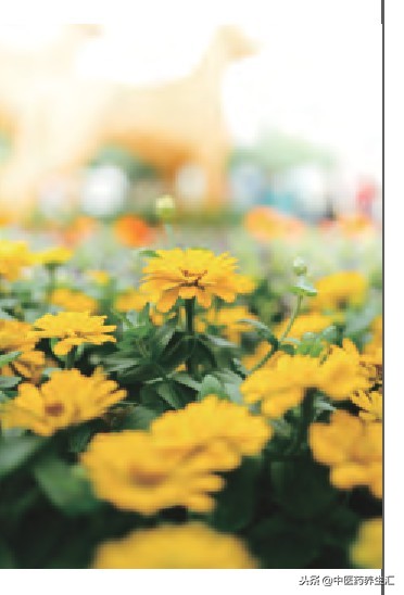 专业女性盆底肌康复指导,关爱女性盆底功能障碍性疾病科普