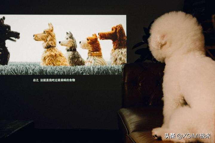 公司年会比较实用的奖品,公司年会奖品买什么好实用