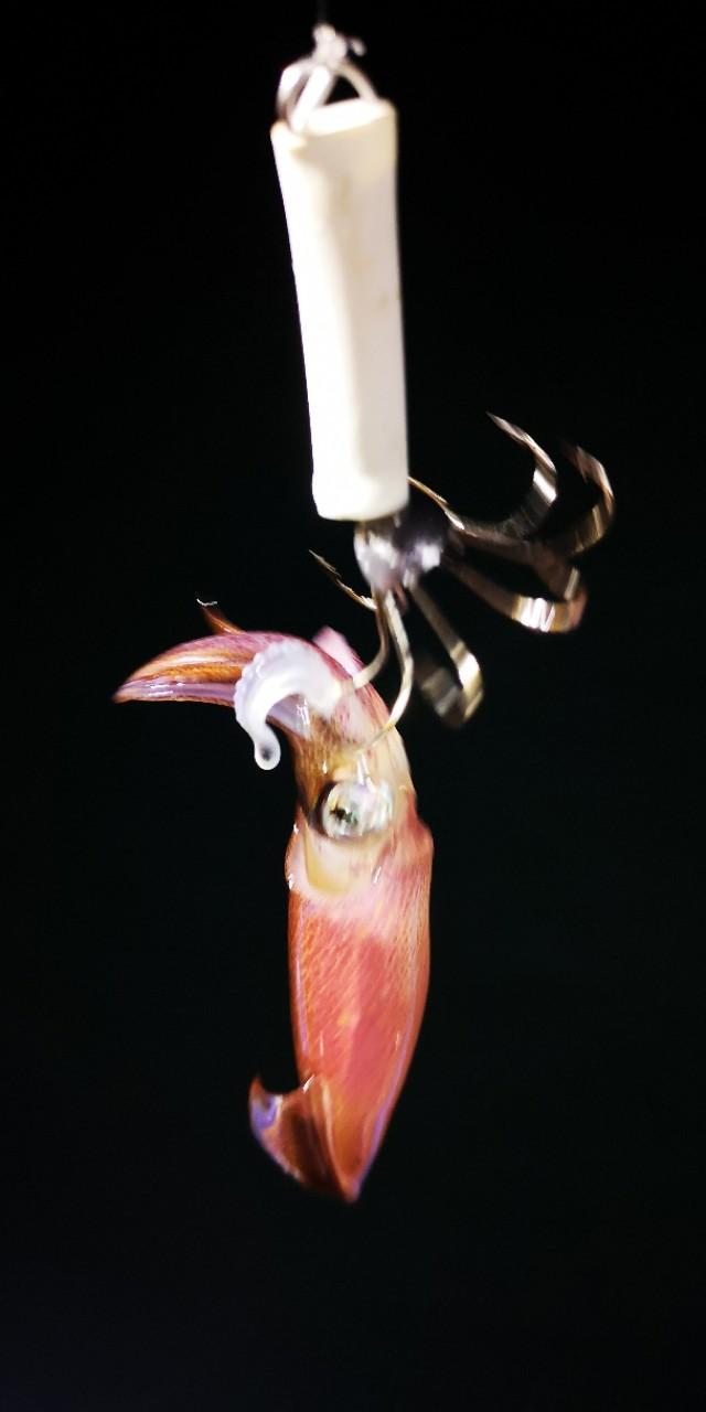 香港最后一片净土避世天堂,香港西贡一日游攻略图