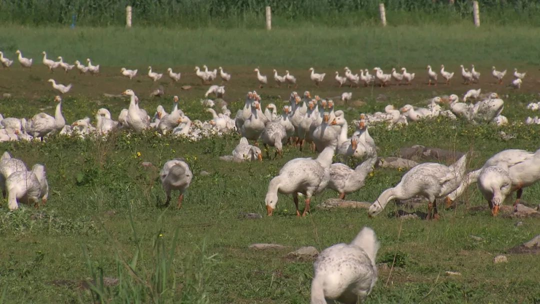 提高产品的附加值有哪些措施,提升产品价值增加附加值
