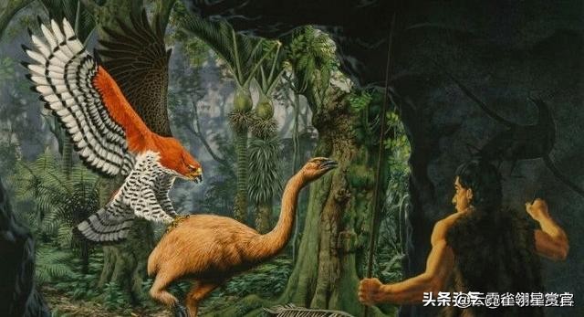 史前时期不会飞的巨鸟,十大最可怕巨型恐龙