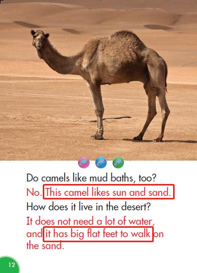 小学英语关于动物的课文,thewonderfulwildanimals绘本