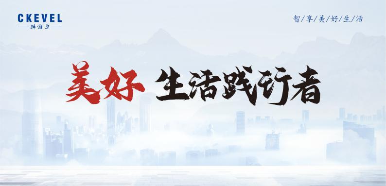 燃气热水器销量冠军海尔,2022年燃气热水器销量品牌占比