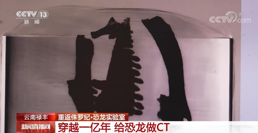 侏罗纪史前动物与人类和平共处,侏罗纪遗留下的动物有哪些