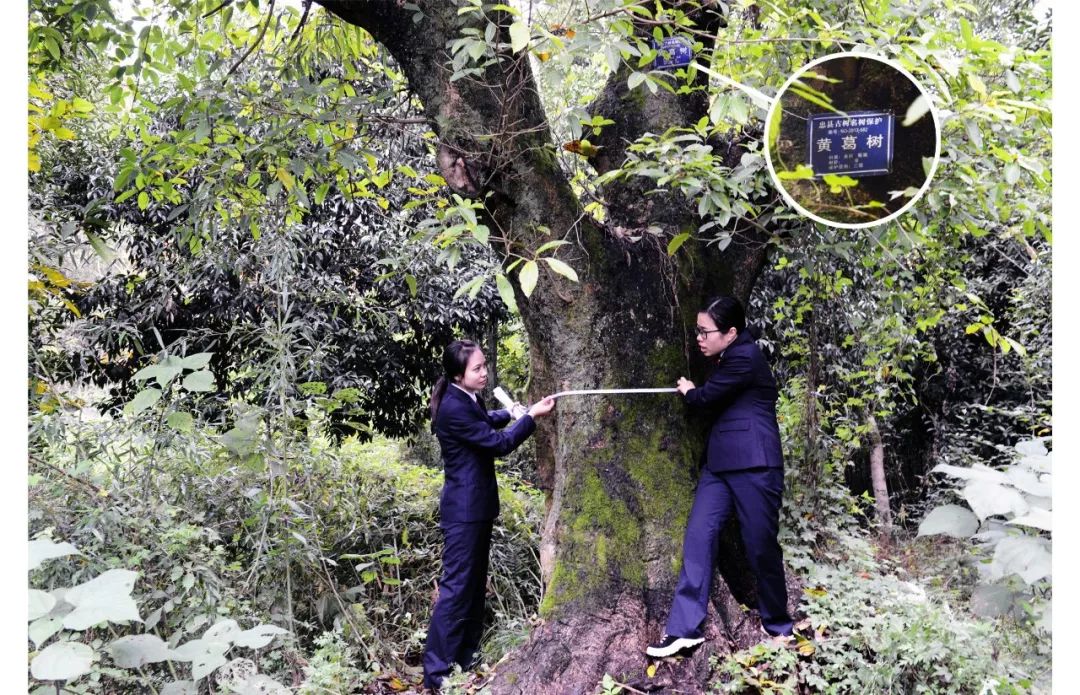 检察足迹,阔步新时代风景视频素材