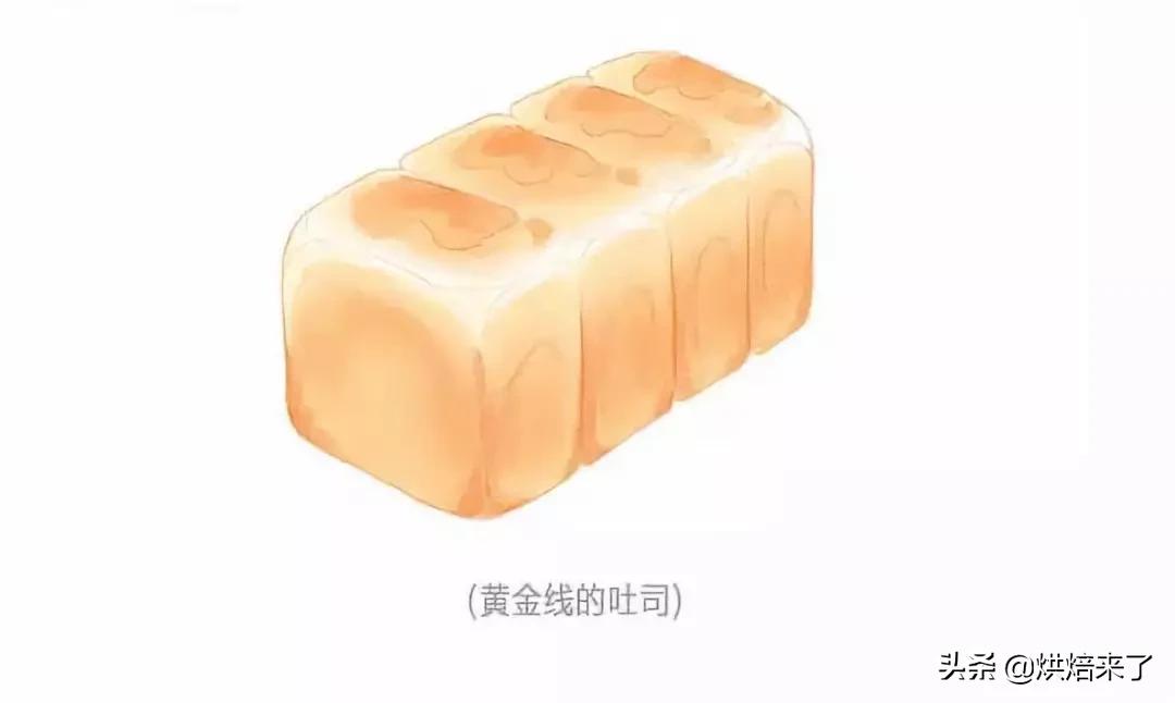 会呼吸的北海道吐司柔软好吃,完整制作流程和疑难解析分分钟上手