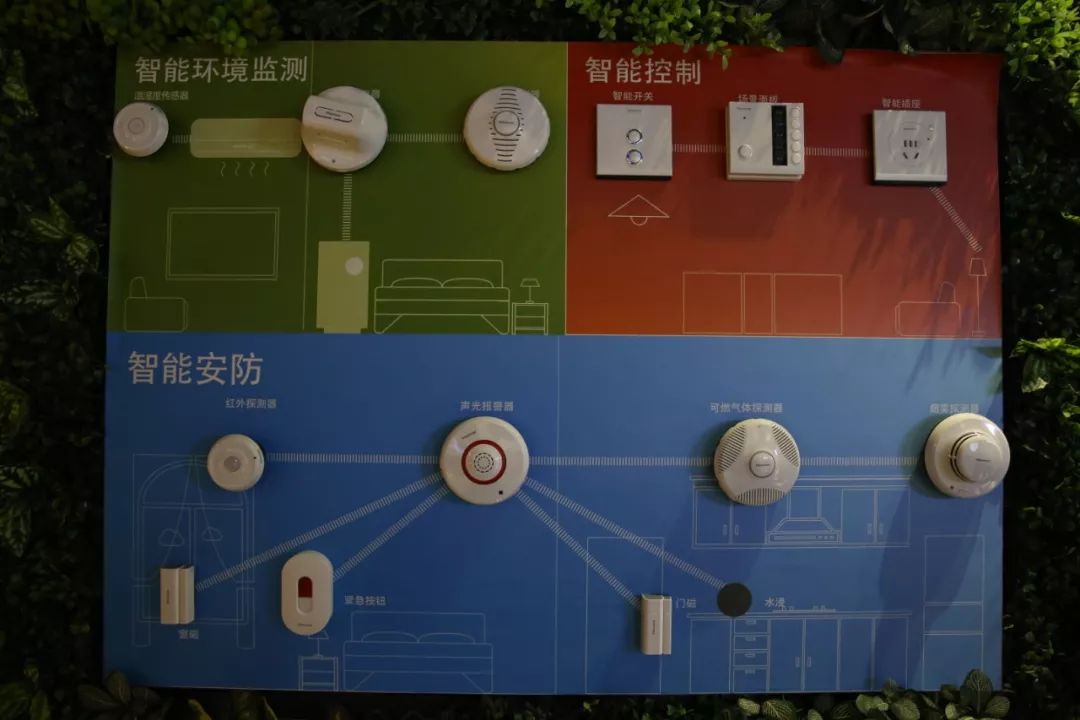 长期主义者指的是什么,长期主义者大部分是什么