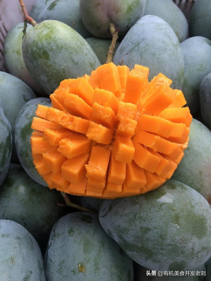 芒果的快速吃法吃货一定要知道,各种品类芒果的吃法