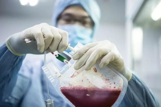 自存脐带血的价值不应被盲目否定 (科学认识自存脐带血)