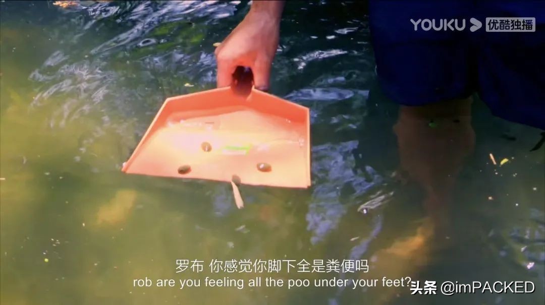 RobGreenfield的#不花钱旅行#玄学