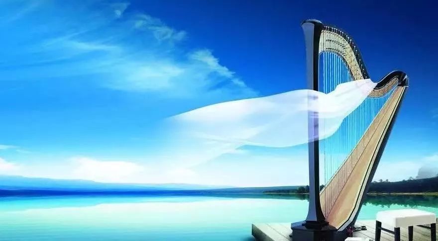 世界上最古老的乐器是什么乐器呢,学世界最古老的乐器