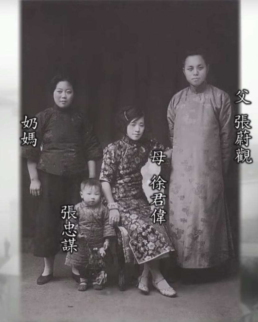 台湾台积电芯片,台积电为什么在台湾壮大