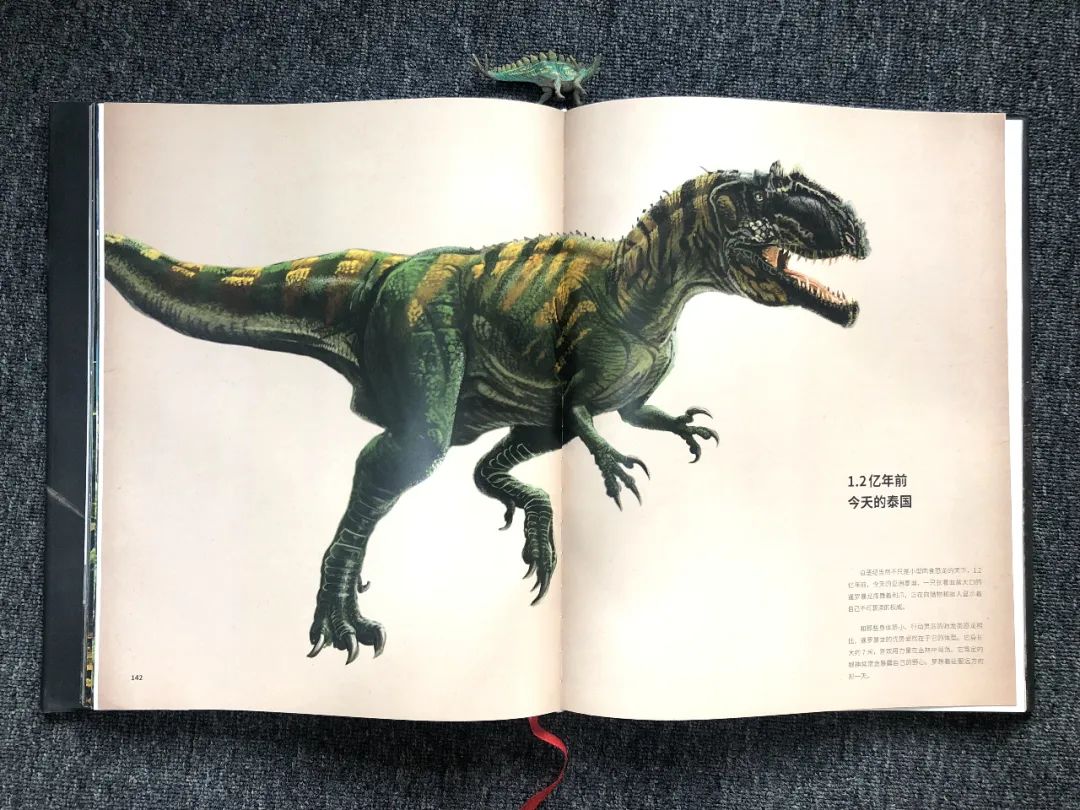 适合孩子看的恐龙科普书,适合5岁孩子看的恐龙科普书