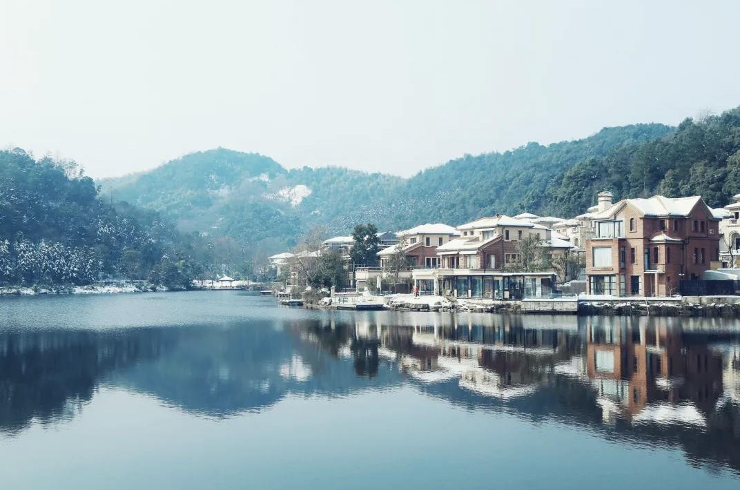 山林竹笋泊云屋舍.....莫干山每一宿都有不期而遇小惊喜