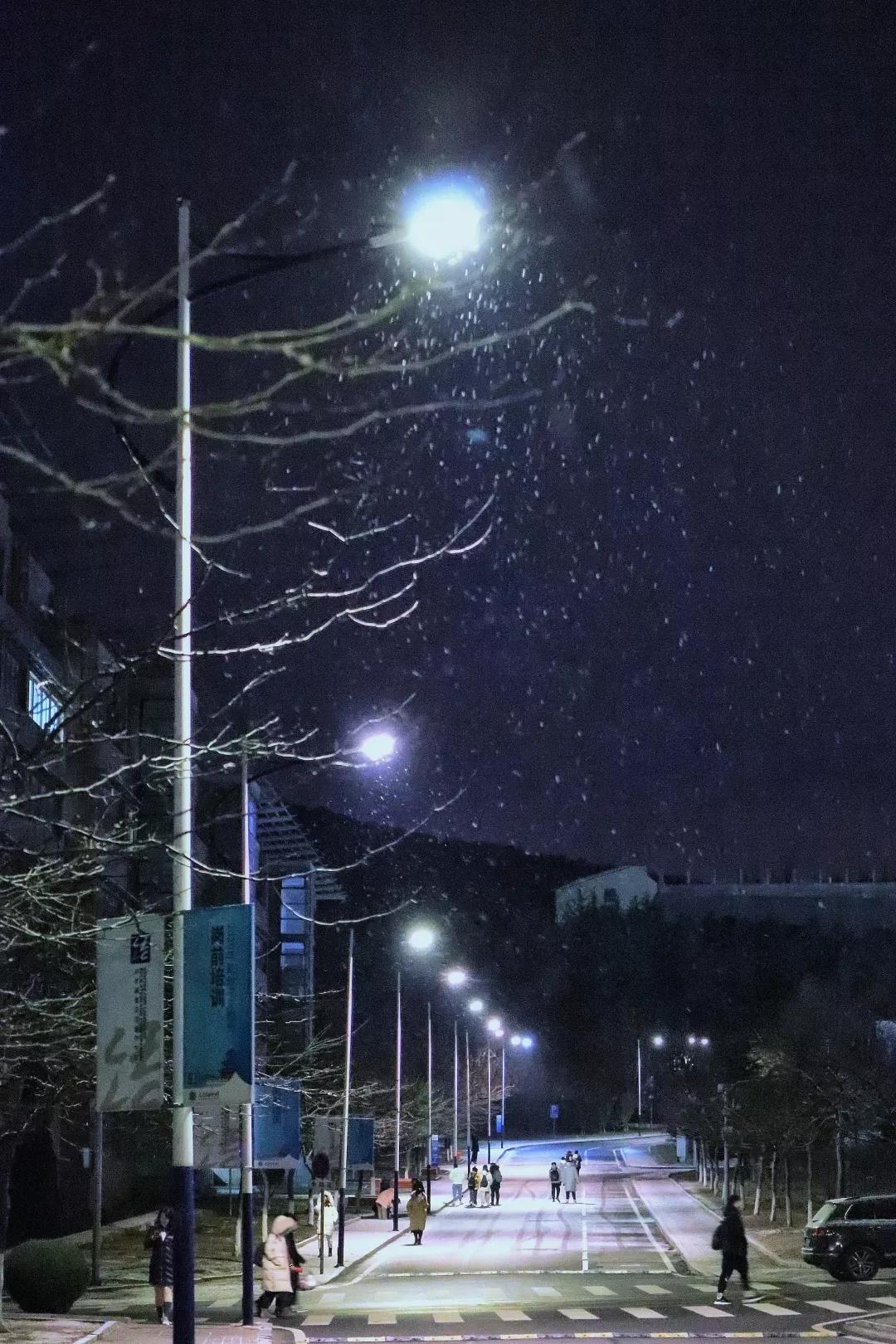 辽宁省高校(三十二)大连外国语大学