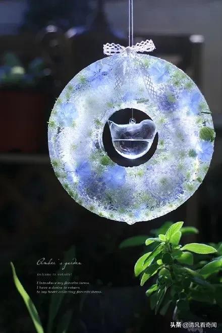 冻冰花美篇,冻冰花的美篇