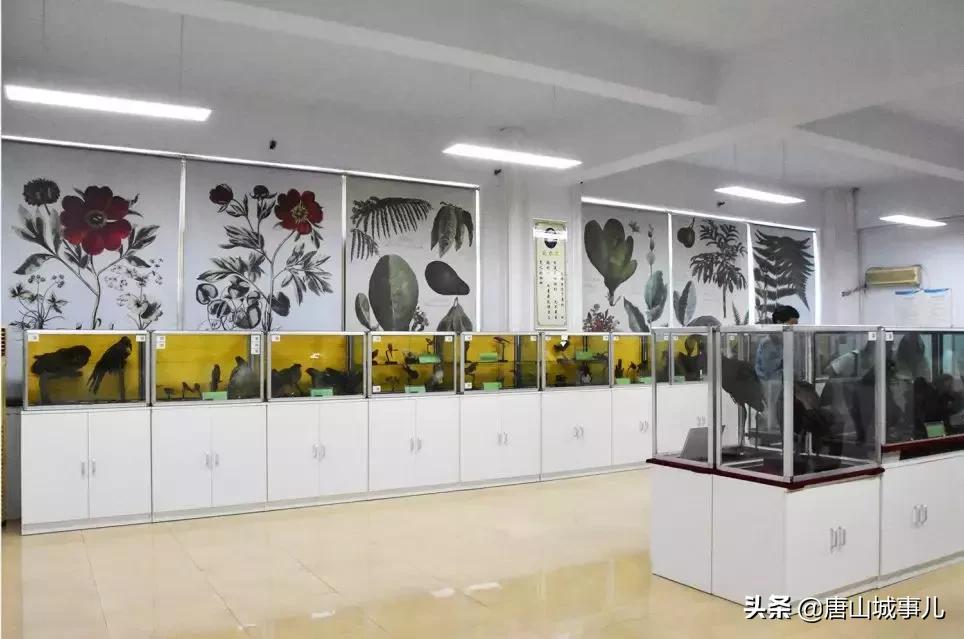 唐山四十九中地理位置,唐山四十九中招生条件