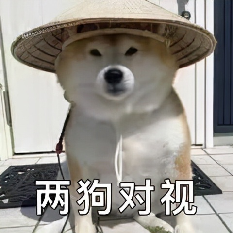 开养鸡场赚钱吗,开个养鸡场需要办什么手续