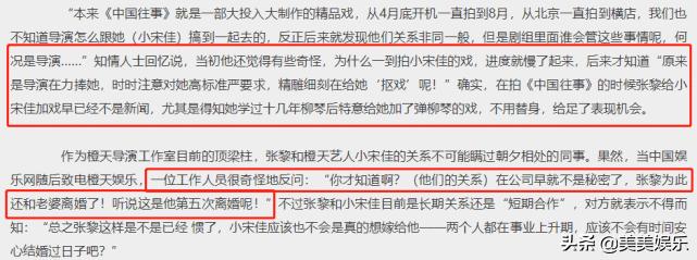 宋佳插足张黎婚姻专访,宋佳恋情曝光事件