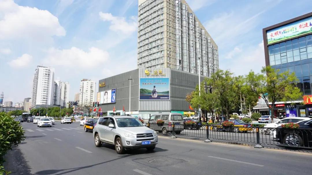 会员风采录活动,会员风采展示