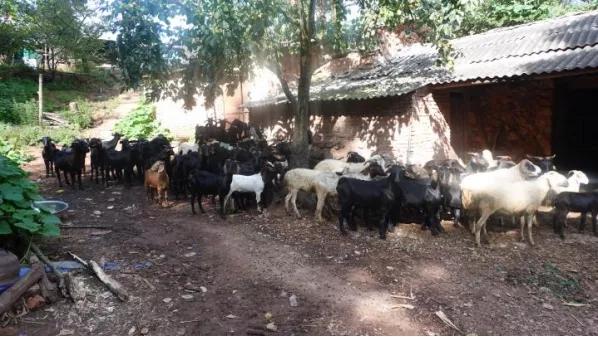 寻味怡安路烟火味,寻味烟火味